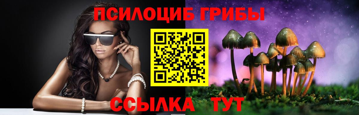 хочу   Псилоцибиновые грибы Cubensis  Псилоцибиновые грибы Psilocybine cubensis  Вход с VPN  Киселёвск 